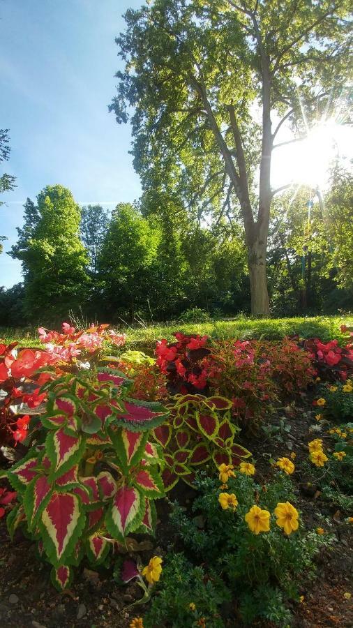Moderne Ferienwohnungen Am Kurpark - Zentral, Ruhig & Nah Am Edersee 바트빌둔젠 외부 사진